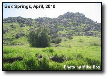 Spring Foliage