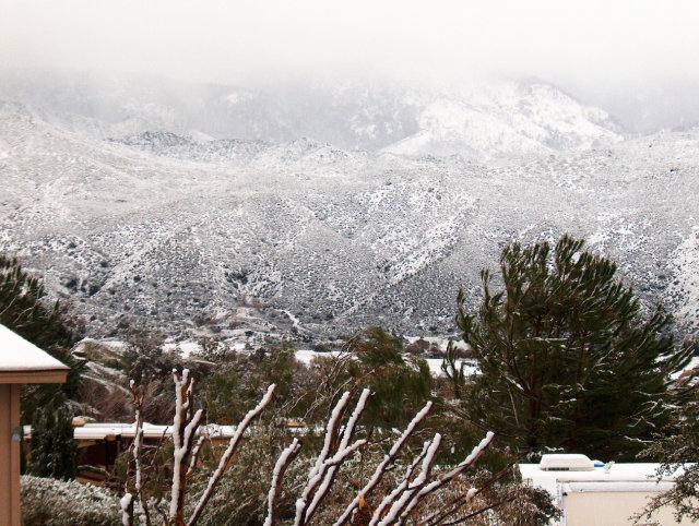 Palomar Mountain Snow