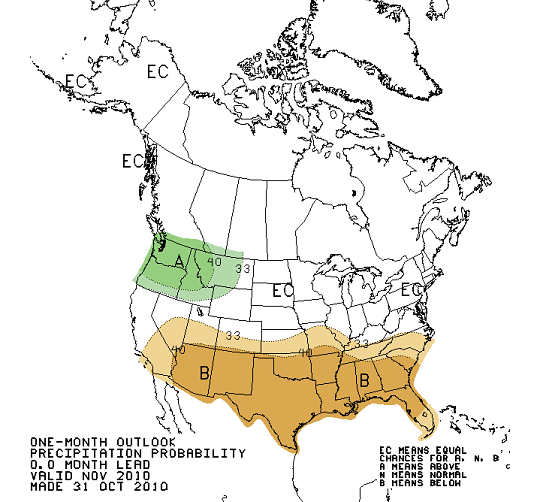 Precipitation Outlook Nov 2010