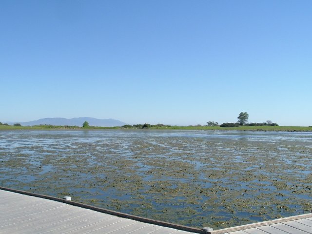 Santa Rosa Plateau Ecological Reserve: March, 2005