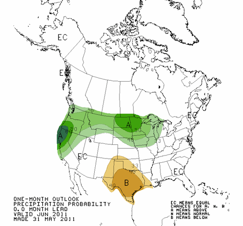 Precipitation Outlook June 2011